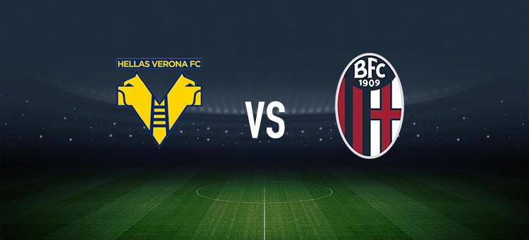 戰術多樣性 戰術多樣性