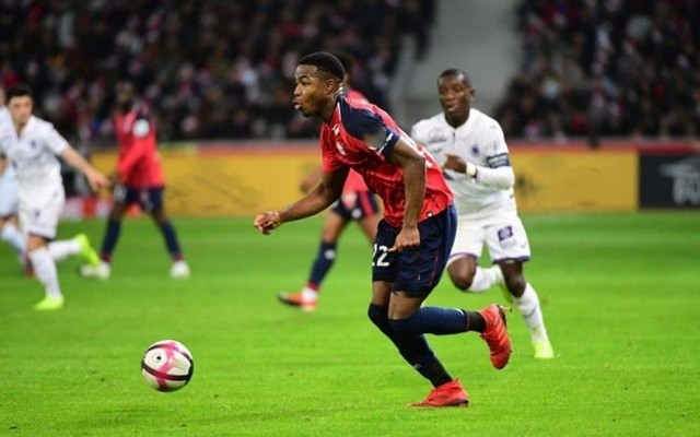 逐渐成长为 逐渐成长为